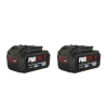 2 batteries Lithium-Ion « 20V Max KEEPCOOL™ » de 5,0 Ah thumbnail